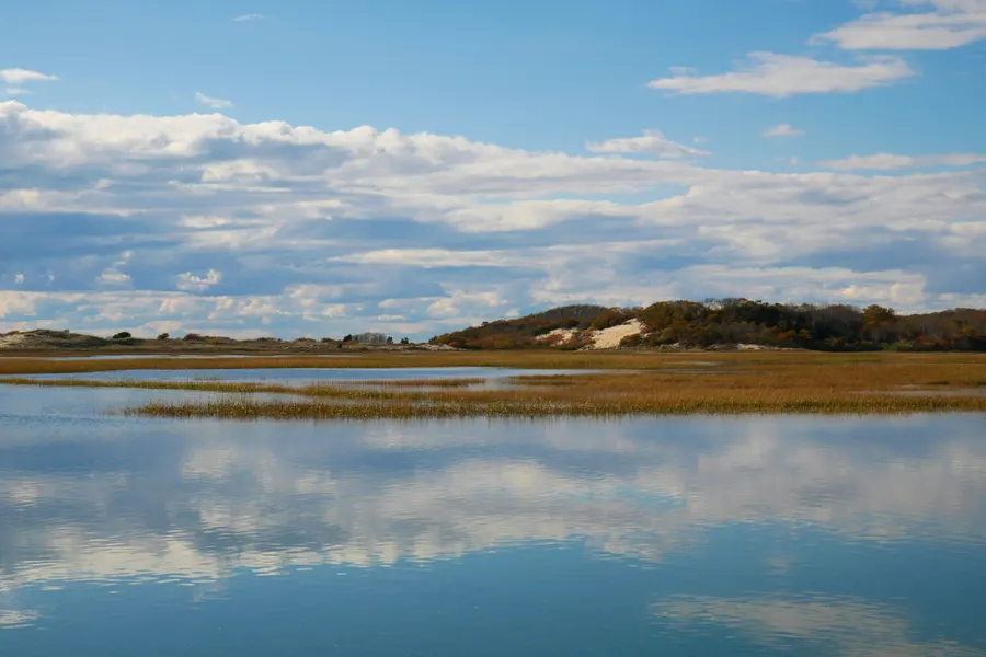 Bethel Beach Natural Area Preserve
