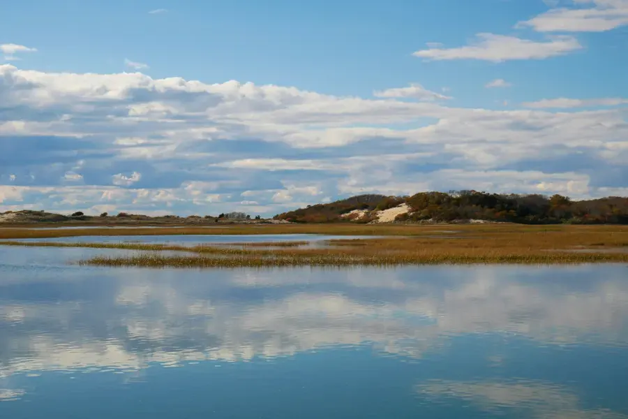 Bethel Beach Natural Area Preserve