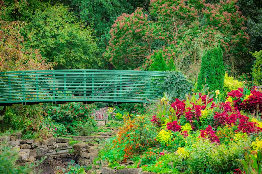 Lake Lure Flowering Bridge
