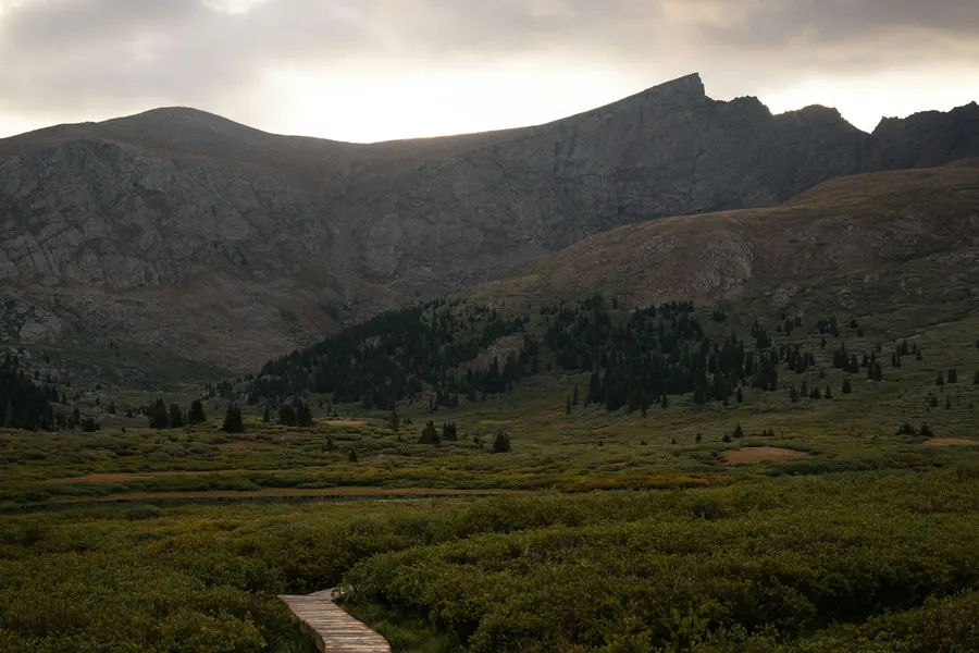 Graveyard Fields