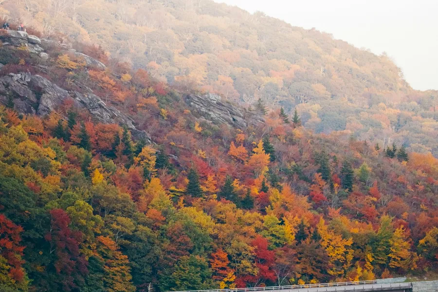 Linn Cove Viaduct
