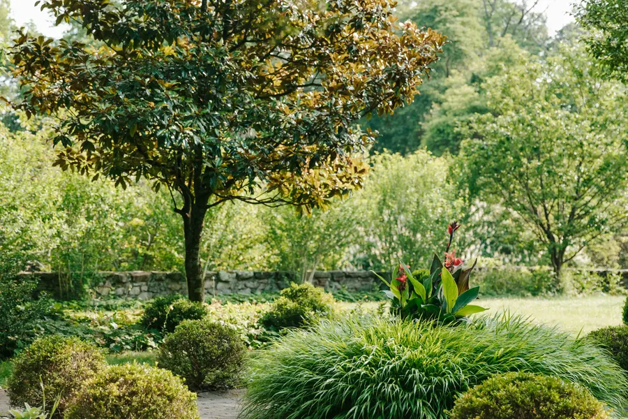 The North Carolina Arboretum