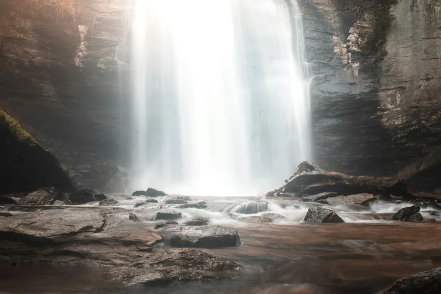 Pisgah National Forest