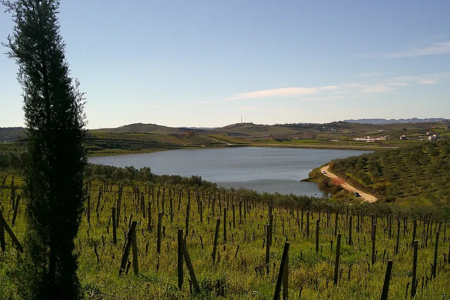 Wind Vineyards at Smith Mountain Lake