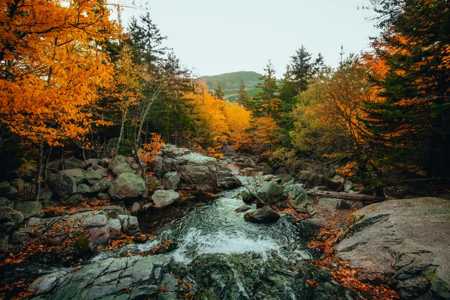 Trombatore Trail