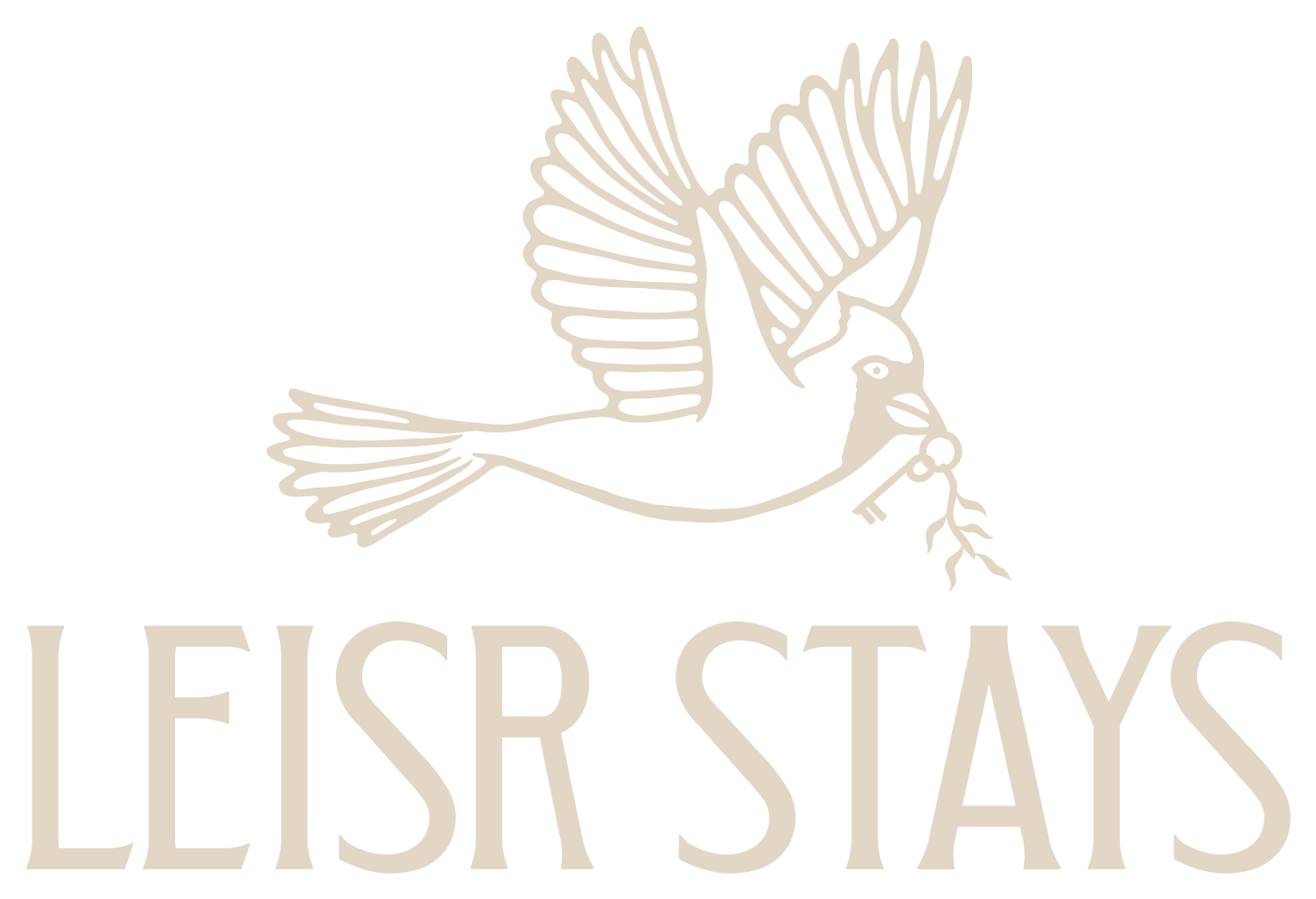 Leisr Stays