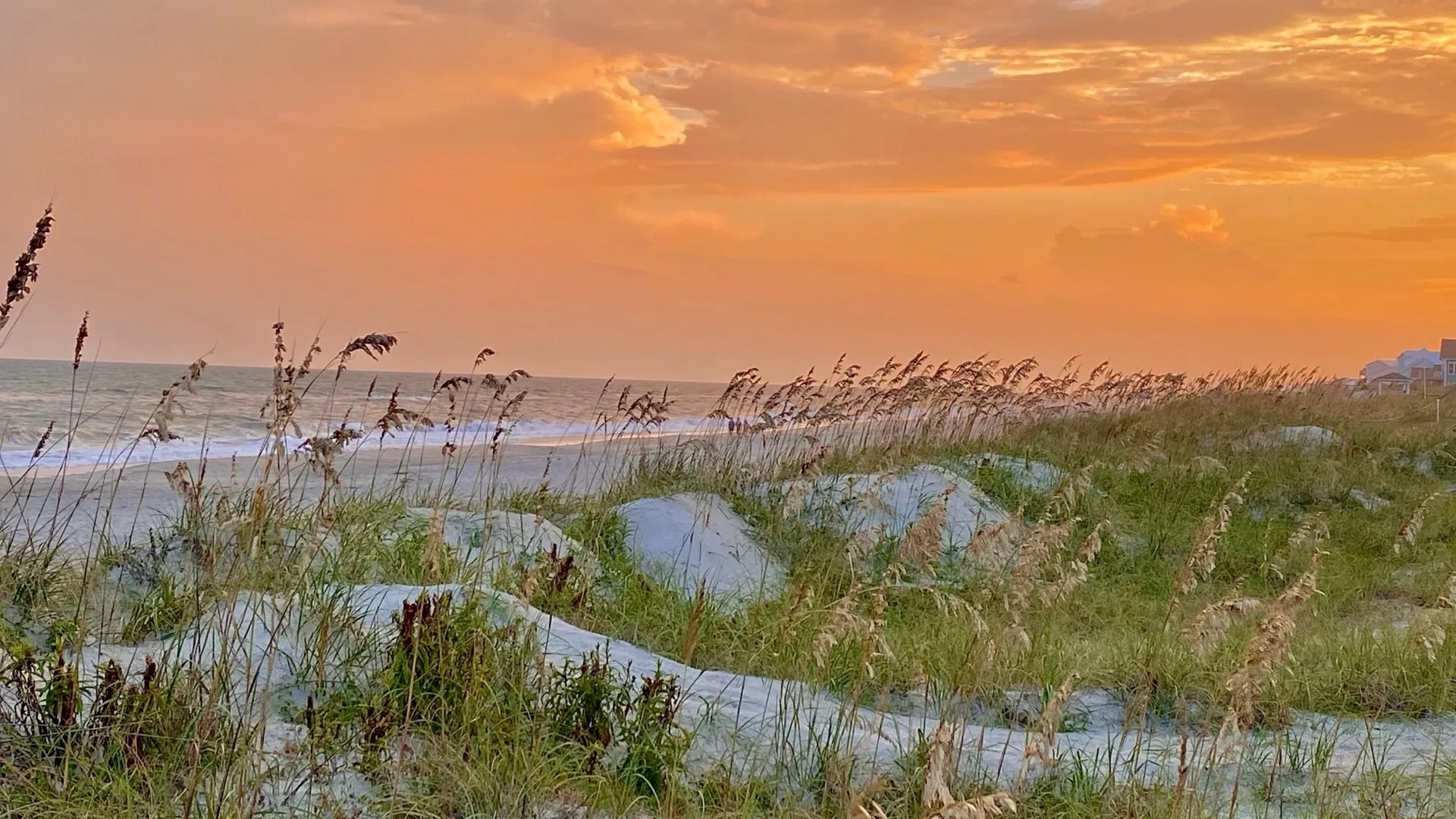 Sea oats and dunes above the surf at sunset, Ocean Isle Beach, North Carolina