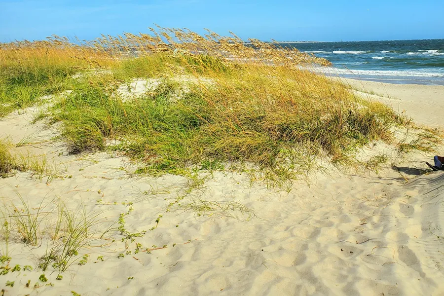 Huntington Beach State Park