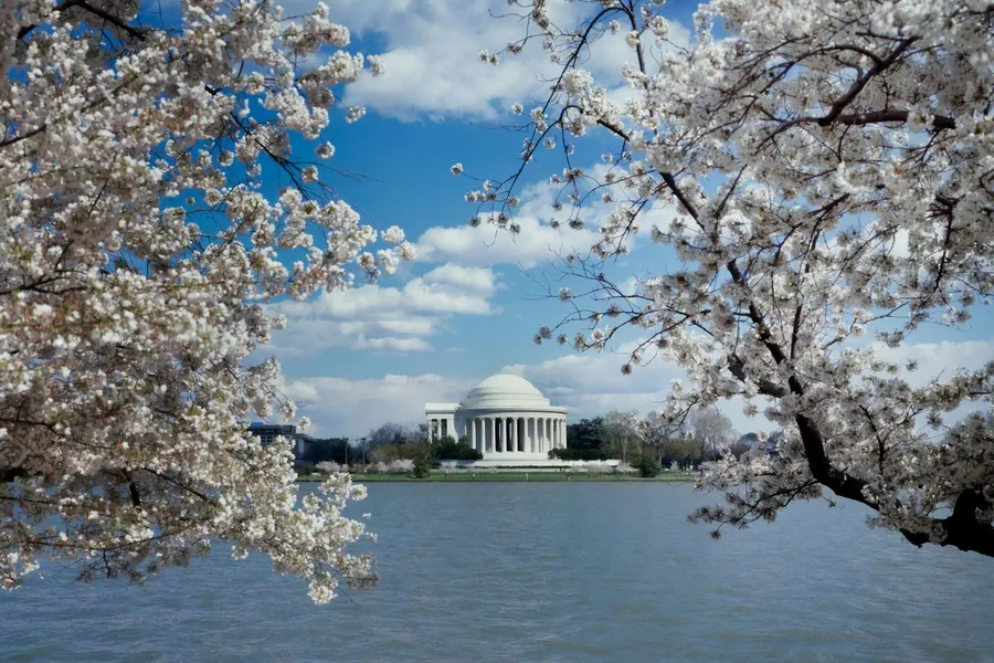 The Tidal Basin